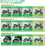 Daytona_catalog_swing_shock_wheel10_front+25.PNG