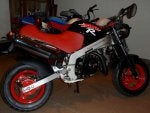 moto 6001-800.jpg