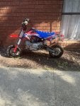 IMG_8375.jpeg