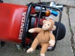 monkeyRass.jpg